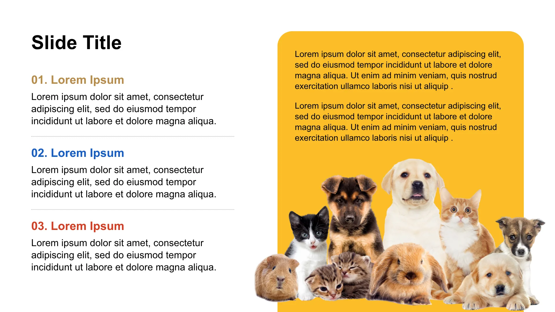 PET CARE & ESSENTIALS slide 10
