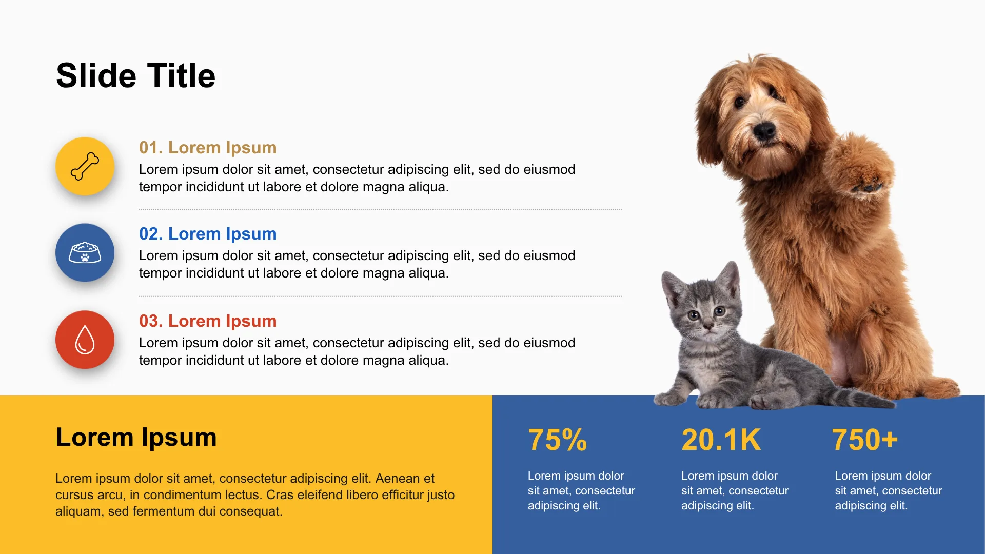 PET CARE & ESSENTIALS slide 2