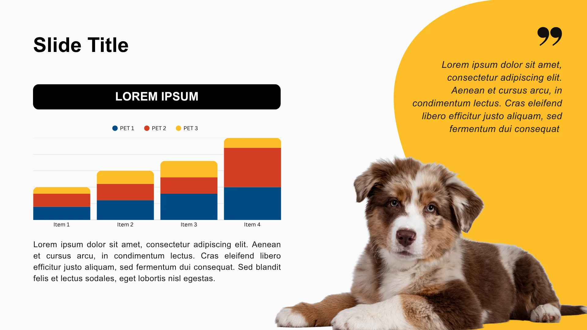 PET CARE & ESSENTIALS slide 5